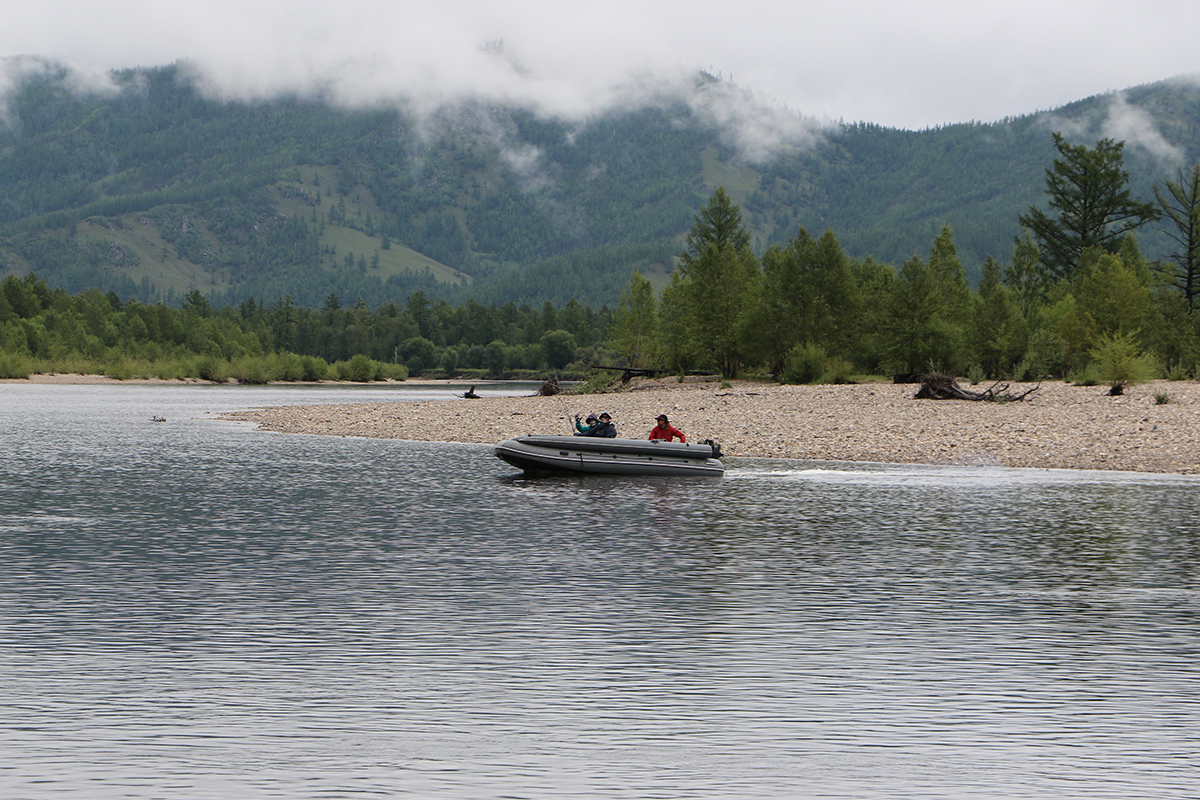 Fishing Taimen Mongolia